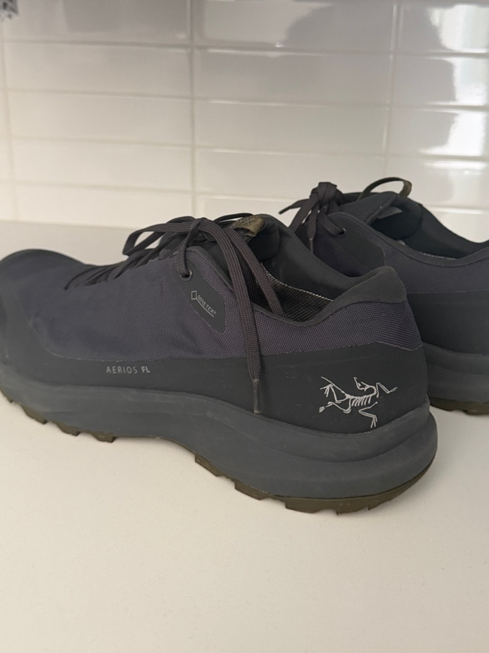 Arc'teryx Men's Aerios FL Low-Profile Trail Shoe in Dark Gray